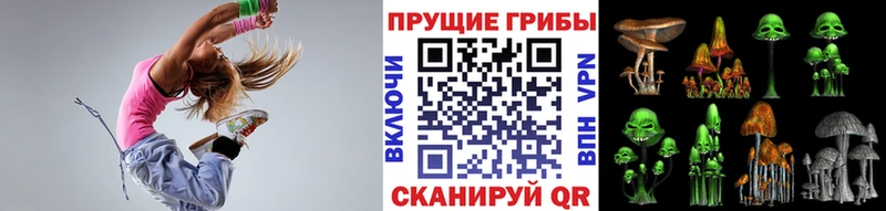 kraken онион  Бородино  Галлюциногенные грибы прущие грибы 